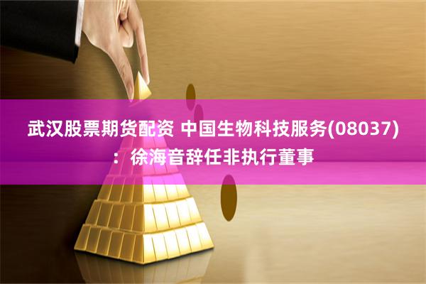 武汉股票期货配资 中国生物科技服务(08037)：徐海音辞任非执行董事