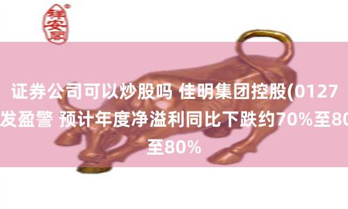 证券公司可以炒股吗 佳明集团控股(01271)发盈警 预计年度净溢利同比下跌约70%至80%